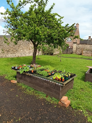 Rattray Community Garden